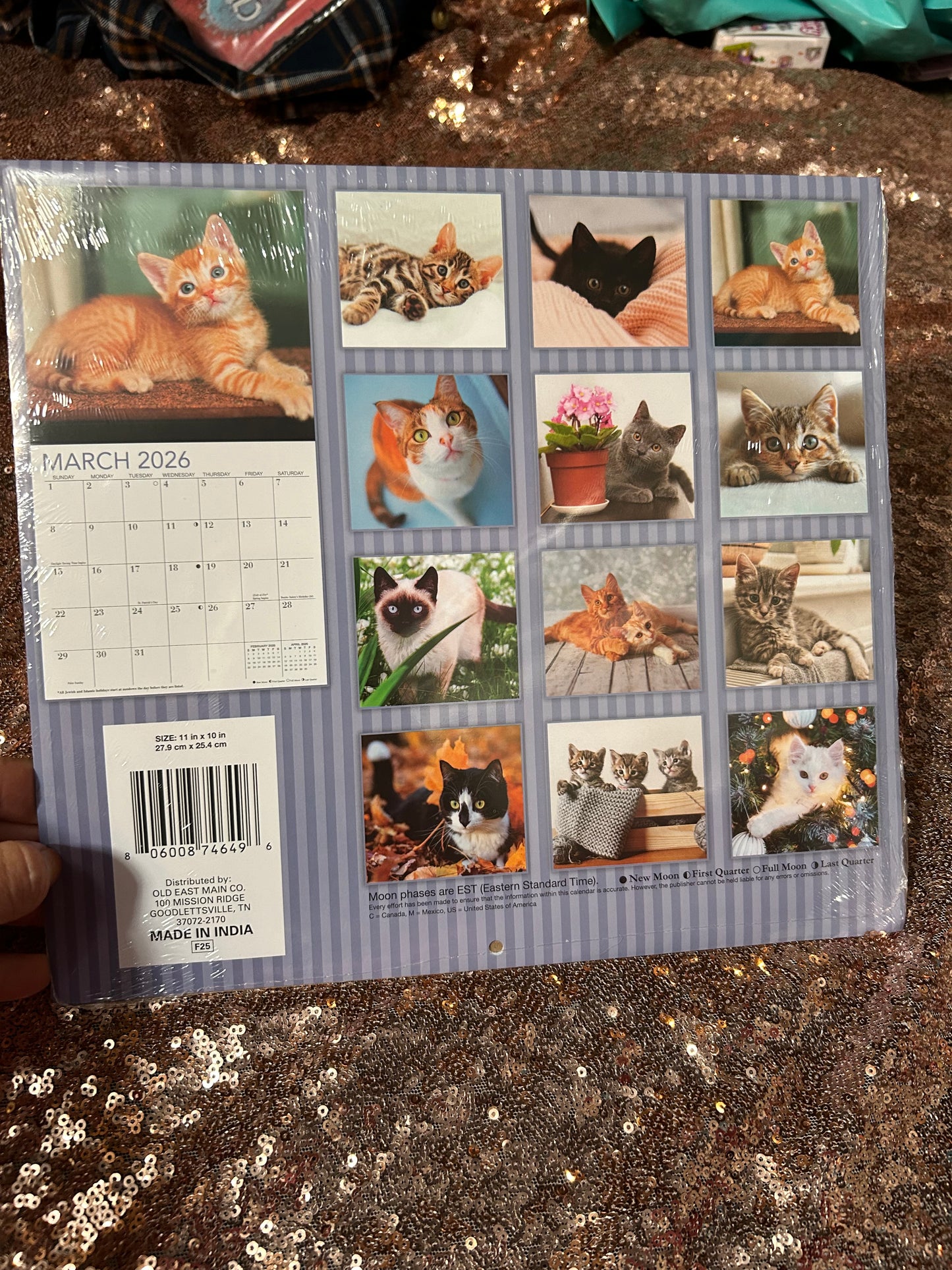 Large Cat  calendar