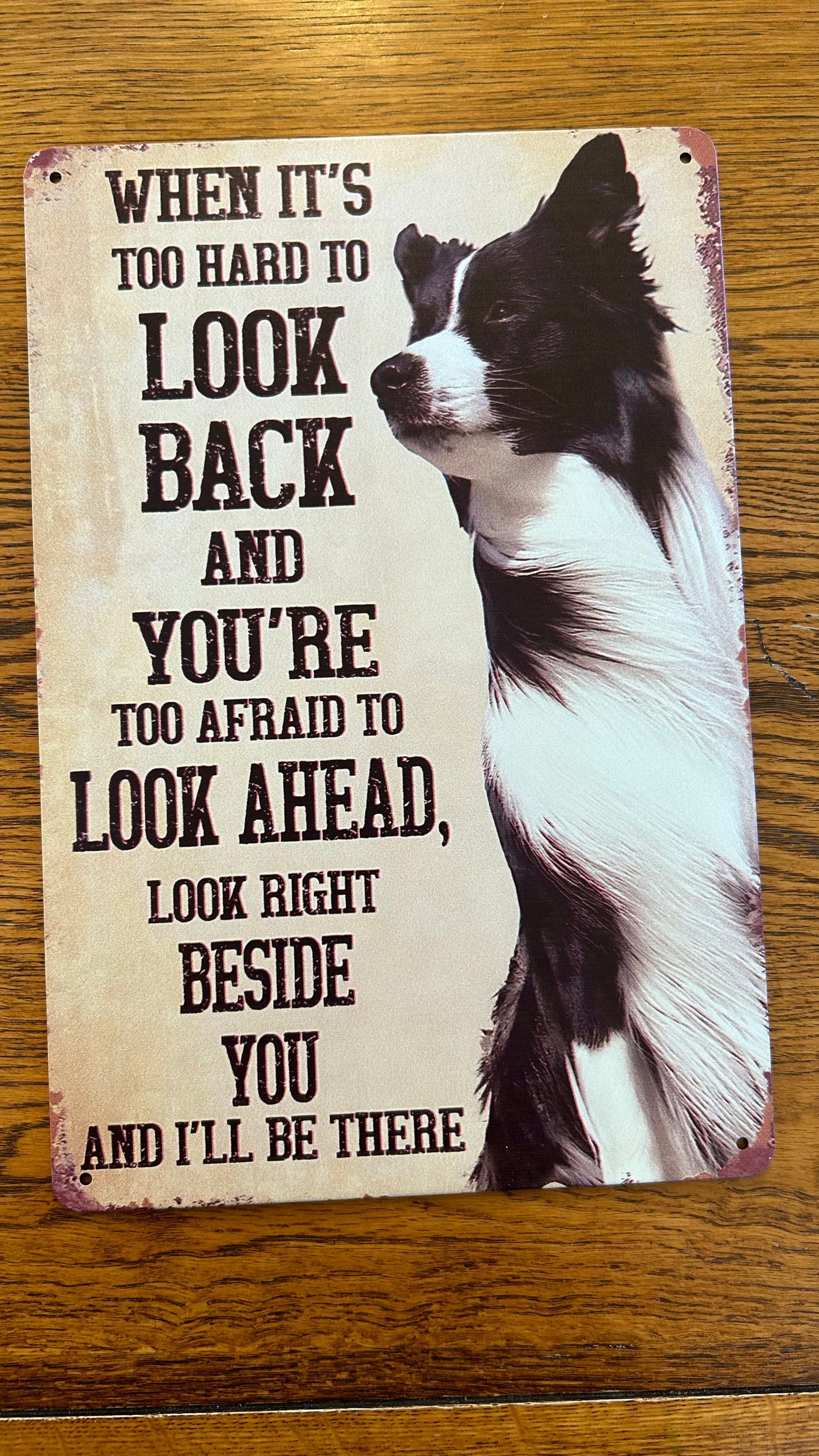 Metal Tin Decor Sign 8x12